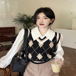 클래식 브로드카라 블라우스