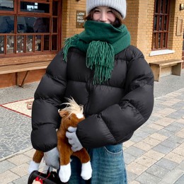 루즈핏 하이넥 크롭 숏 패딩 2color DK-0518