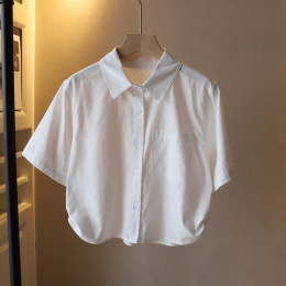 데일리 카라 크롭 베이직 반팔 셔츠 FR-161812