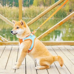 강아지 산책 하네스 반사 가슴줄 목줄 리드줄 세트