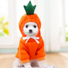 기모 강아지 고양이 반려동물 과일옷