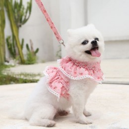 플라워 레이스 강아지 고양이 하네스