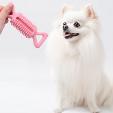 놀고씹고 반려동물 실리콘 노즈워크 간식볼