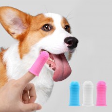반려동물 실리콘 핑거 치아관리 칫솔 3color