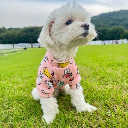 반려동물 큐티 래빗 그래피티 티셔츠