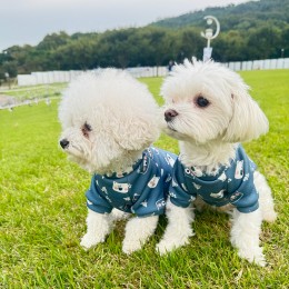 반려동물 큐티베어 그래피티 티셔츠