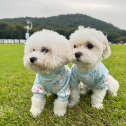 반려동물 큐티 몽글 그래피티 티셔츠