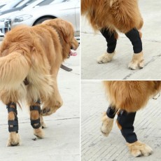반려동물 관절 슬개골 보호대 서포터