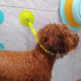 반려동물 흡착벨트 목욕 샤워 고정 보조용품