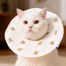 반려동물 고양이 상처보호 넥카라