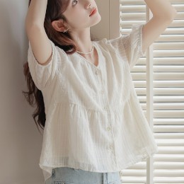 브이넥 자수 플레어 블라우스 LL_T189