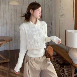 꽈배기 버튼 시보리 카라 니트 LL_T195