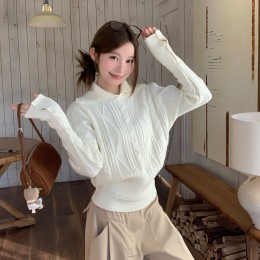 꽈배기 버튼 시보리 카라 니트 LL_T195