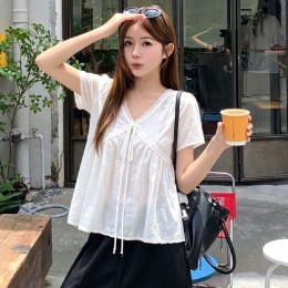 브이넥 레이스 자수 블라우스 LL_T212