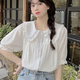 프릴카라 밴딩 블라우스 LL-T110