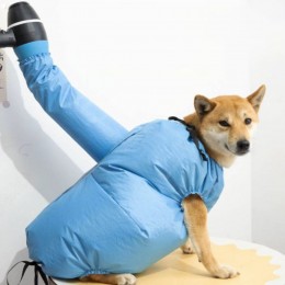 펫 드라이 건조복