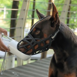 반려견 물림방지 입마개