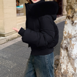 퍼 트리밍 크롭 패딩 점퍼 SNY-0058